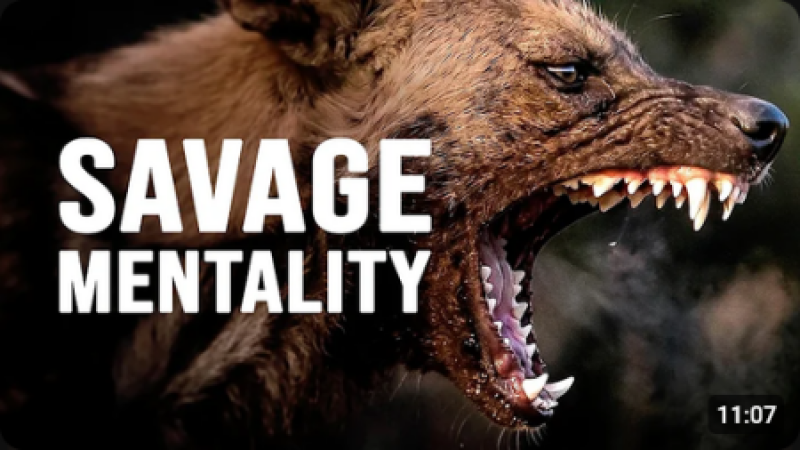 SAVAGE MENTALITY