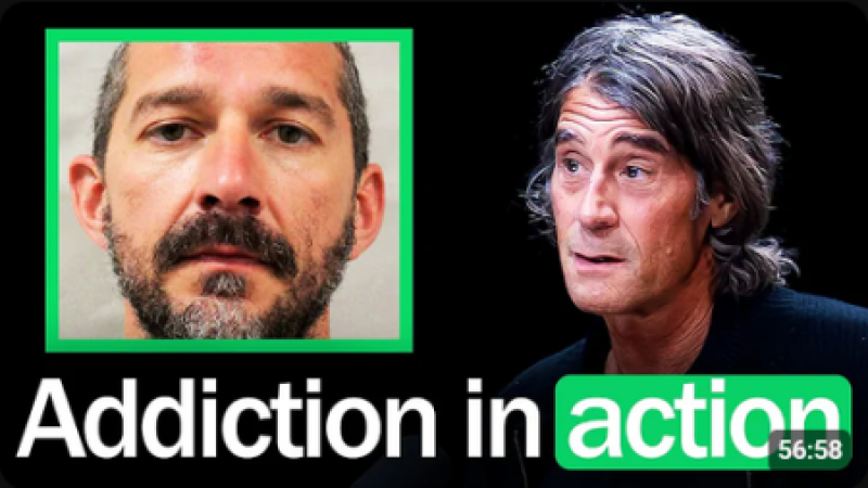 Recovering Alcoholic Breaks Down Shia LaBeouf’s Recent Behavior