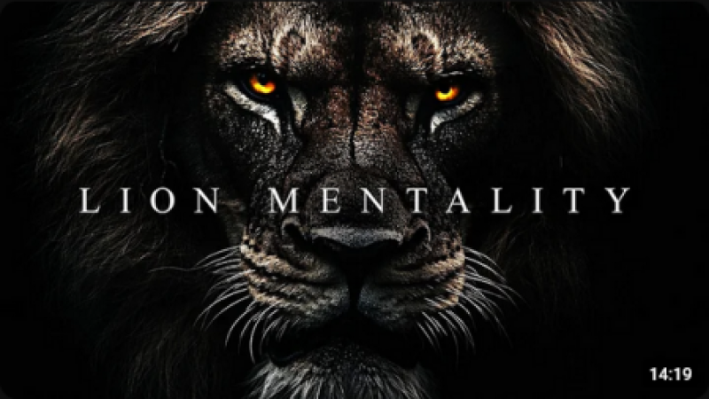 LION MENTALITY